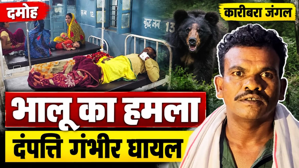 कारीबरा जंगल में भालू के हमले से घायल दंपत्ति गंभीर, हटा से जिला अस्पताल रेफर; 108 एंबुलेंस के इंतजार का आरोप